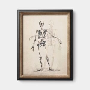 14"x18" Skeleton Halloween Wall Art Framed - Threshold, Target